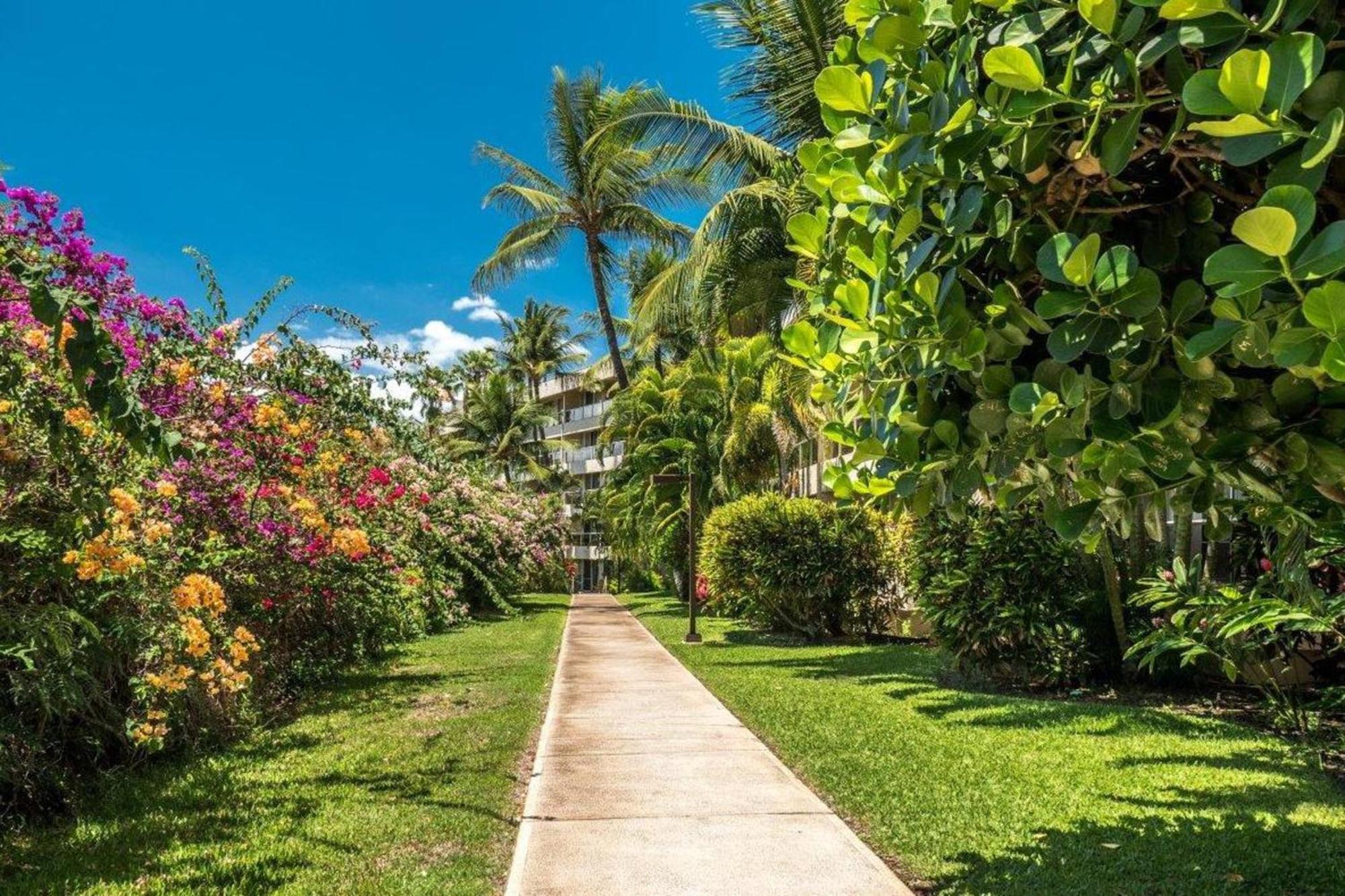 Вилла Maui Banyan Уэйлея Номер фото
