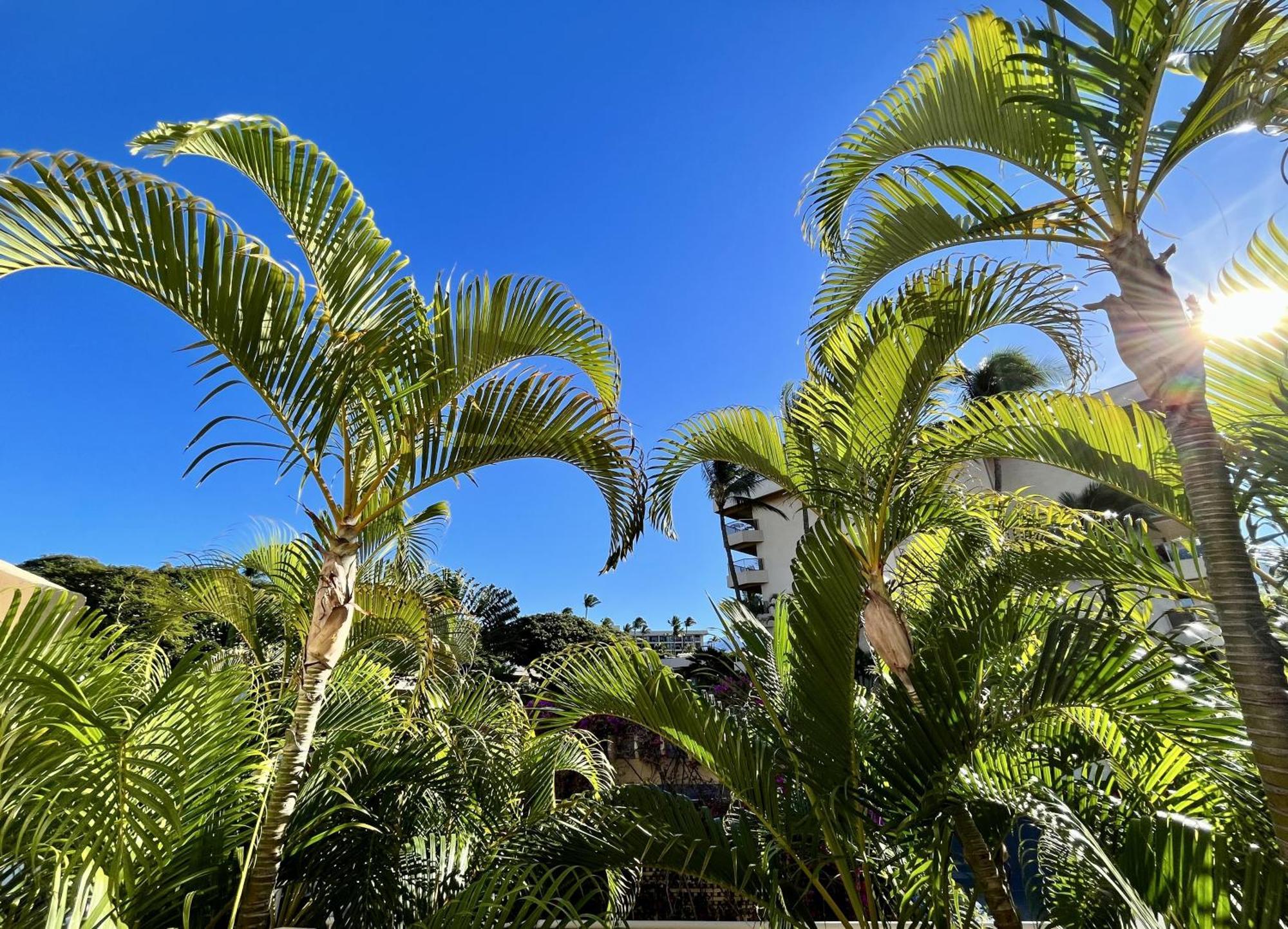 Вилла Maui Banyan Уэйлея Номер фото