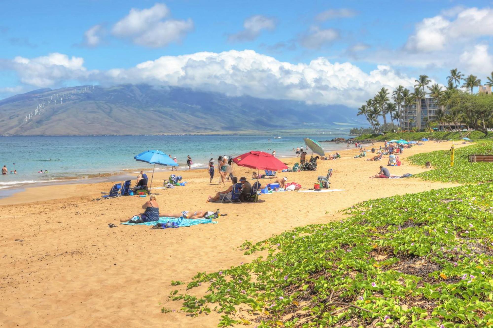 Вилла Maui Banyan Уэйлея Номер фото